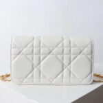Christian Dior Miss Caro chain bag